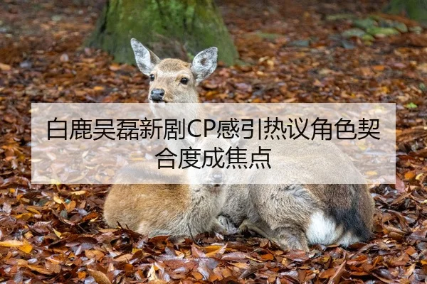 白鹿吴磊新剧CP感引热议角色契合度成焦点